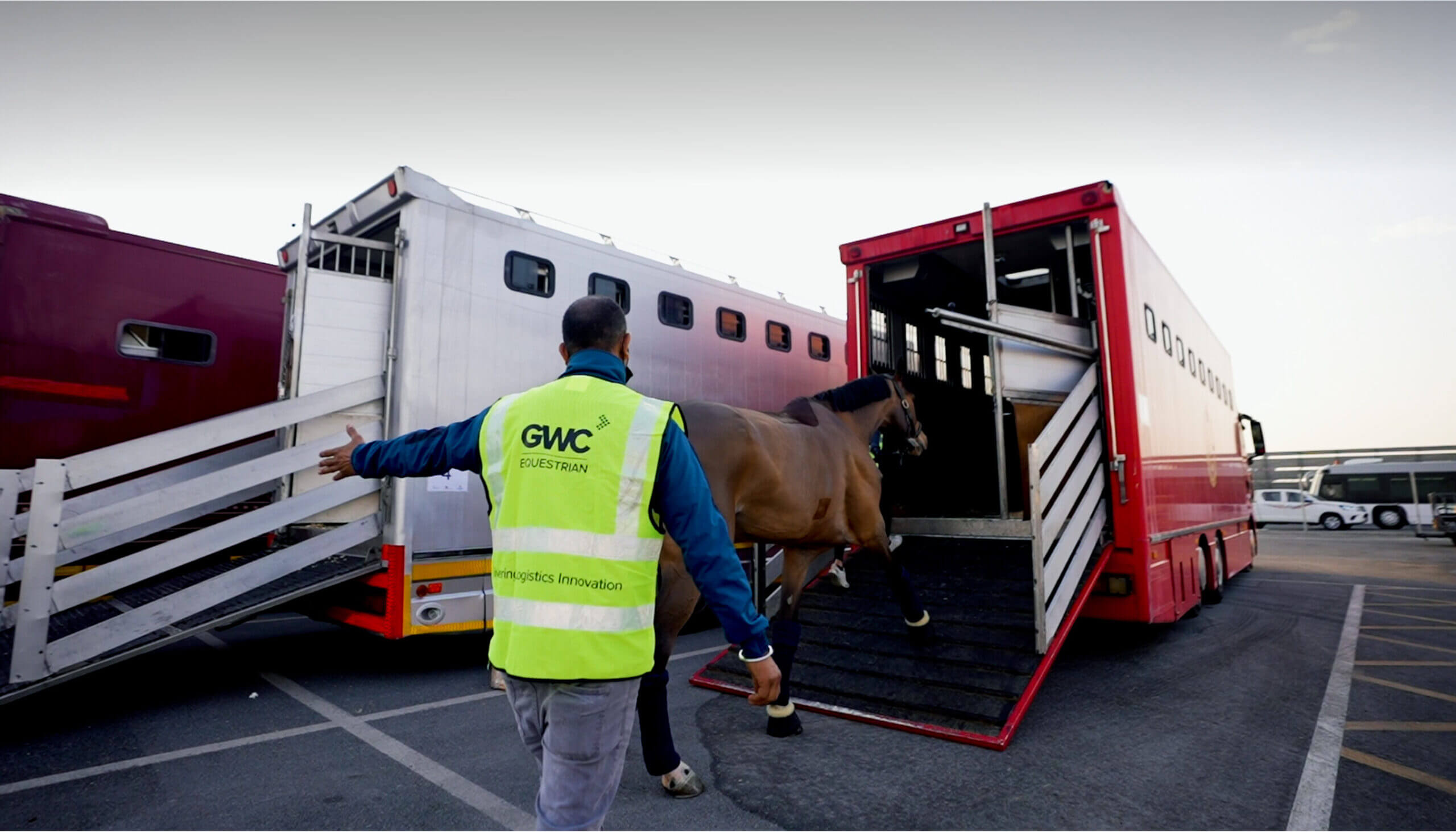 Leading Equestrian Logistics